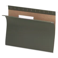 Pendaflex Hanging Folders, Standard Green, Letter, 25/Box (81601)