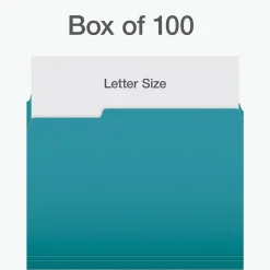 Pendaflex Heavy Duty File Folder, 1/3-Cut Tab, Letter Size, 100/Box (1006995)