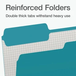 Pendaflex Heavy Duty File Folder, 1/3-Cut Tab, Letter Size, 100/Box (1006995)