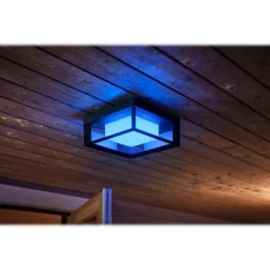 Philips Econic Hue LED Wall Outdoor Light, Glass (1743830V7)