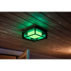 Philips Econic Hue LED Wall Outdoor Light, Glass (1743830V7)