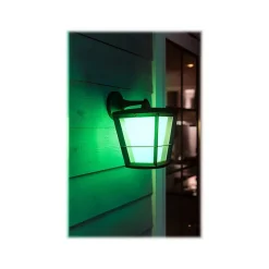 Philips Econic Hue LED Wall Outdoor Light, Glass (1744030V7)