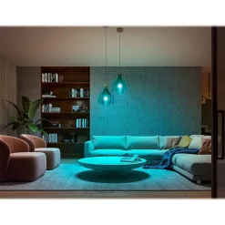 Philips Hue White Light Bulb, A21 16 Million Colors 10.5W E26 (563254)