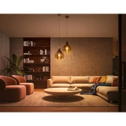 Philips Hue White Starter Kit, A19 2200K-6500K 10.5W E26 (563270)