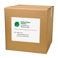 PRES-a-ply Laser/Inkjet Shipping Labels, 8-1/2" x 11", White, 100 Labels/Box (30605)