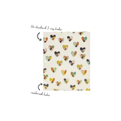Pukka Pad Carpe Diem Floral Love 3-Hole Punched 2-Pocket Portfolio Folders, Assorted Colors, 6/Pack (9098-CD)