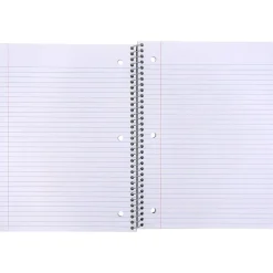 Pukka Pad Haze 1-Subject Notebooks, 8