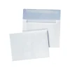Quality Park Booklet Envelope 4 3/4" x 6 1/2", White, 100/Box (QUA36417)