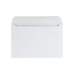 Quality Park Gummed Booklet Envelopes, 6" x 9", White Wove, 100/Box (QUA37113)