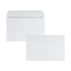 Quality Park Gummed Booklet Envelopes, 6