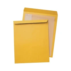 Quality Park Open End Kraft Catalog Envelopes, 15