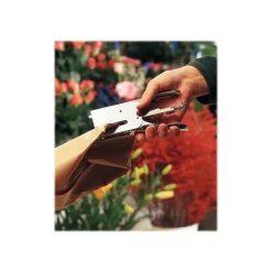 Rapid Classic K1 Stapling Plier, 50 Sheet Capacity, Chrome (90119)