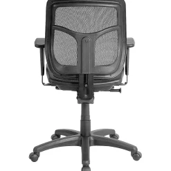 Raynor Eurotech Apollo Mesh Office Chair, Black