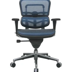 Raynor Eurotech Ergo human Mesh Mid Back Task Chair, Blue