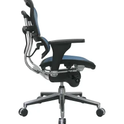 Raynor Eurotech Ergo human Mesh Mid Back Task Chair, Blue