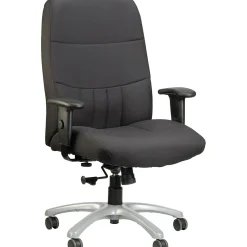 Raynor Eurotech Excelsior Fabric Big and Tall Manager's Chair, Black (BM90000-BLK)