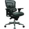 Raynor Eurotech Mesh/Leather Mid Back Ergo human Chair, Black