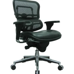 Raynor Eurotech Mesh/Leather Mid Back Ergo human Chair, Black
