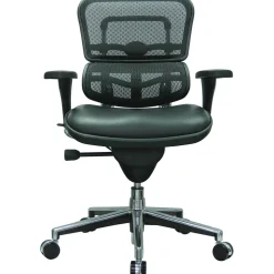 Raynor Eurotech Mesh/Leather Mid Back Ergo human Chair, Black
