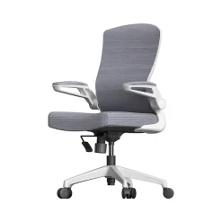 RAYNOR GROUP ION Fabric Task Chair, Gray/White (ION-WH-GRY)