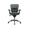 Raynor Low Back Mesh Task Chair, Black (ME8ERGLO(N))