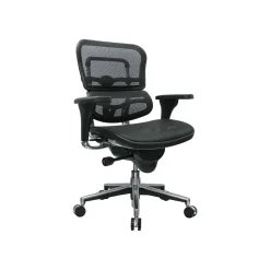 Raynor Low Back Mesh Task Chair, Black (ME8ERGLO(N))