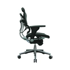 Raynor Low Back Mesh Task Chair, Black (ME8ERGLO(N))