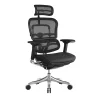 Raynor Marketing Ergo elite Mesh Task Chair, Black (ME22ERGLT-BLK)