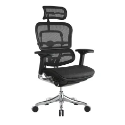 Raynor Marketing Ergo elite Mesh Task Chair, Black (ME22ERGLT-BLK)
