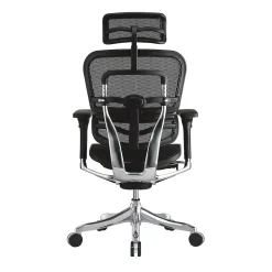 Raynor Marketing Ergo elite Mesh Task Chair, Black (ME22ERGLT-BLK)