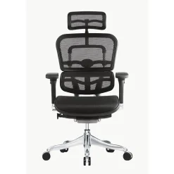 Raynor Marketing Ergo elite Mesh Task Chair, Black (ME22ERGLT-BLK)