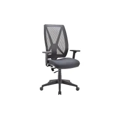 Raynor Outlast Cooling Fabric Task Chair, Black (OL9600-BLK)