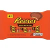 Reese's Peanut Butter Milk Chocolate Cup, 9 oz., 2/Pack (246-01011)