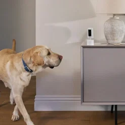 Ring Pan-Tilt Indoor Wired Security Camera, Black (B0CG2WNRHF)