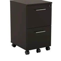 Safco Medina 2-Drawer Mobile Vertical File Cabinet, Letter Size, Lockable, 26.75"H x 15.5"W x 18"D, Mocha (MNFFLDC)