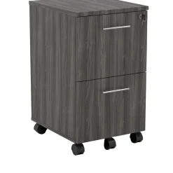 Safco Medina 2-Drawer Mobile Vertical File Cabinet, Letter Size, Lockable, 26.75"H x 15.5"W x 18"D, Gray (MNFFLGS)