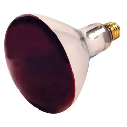 Satco Lighting 250-Watt Red Heat Incandescent Specialty Bulb, Dozen (S4998)