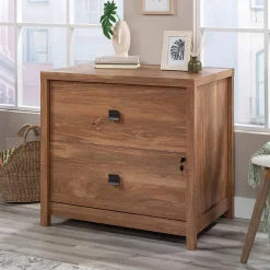 Sauder Cannery Bridge Commercial 2-Drawer Lateral File Cabinet, Letter/Legal Size, 32"W x 22"D, Sindoori Mango (429514)