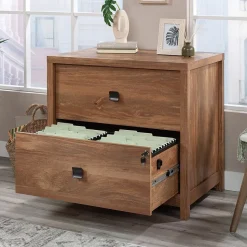 Sauder Cannery Bridge Commercial 2-Drawer Lateral File Cabinet, Letter/Legal Size, 32