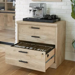 Sauder Mason Peak Commercial 2-Drawer Lateral File Cabinet, Letter/Legal Size, Lockable, 31