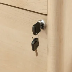 Sauder Whitaker Point Commercial 2-Drawer Lateral File Cabinet, Letter/Legal Size, Lockable, 31