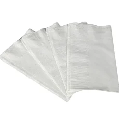 Scott Recycled Napkin, 2-ply, White, 300 Napkins/Pack, 10/Carton (98200)