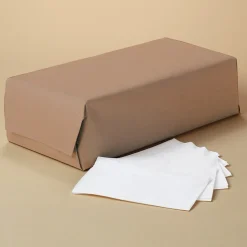 Scott Recycled Napkin, 2-ply, White, 300 Napkins/Pack, 10/Carton (98200)