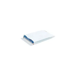 Self Seal Catalog Envelope 10" x 13", White, 100/Carton (TYE10132WE)