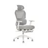 Sharper Image S-850 Ergonomic Mesh Swivel Computer and Desk Chair, Light Gray/White (60106-LGRYWHT)