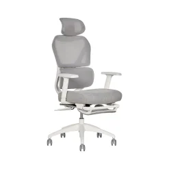 Sharper Image S-850 Ergonomic Mesh Swivel Computer and Desk Chair, Light Gray/White (60106-LGRYWHT)