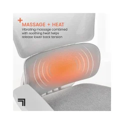 Sharper Image S-850 Ergonomic Mesh Swivel Computer and Desk Chair, Light Gray/White (60106-LGRYWHT)