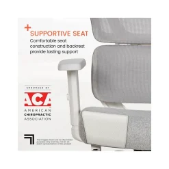 Sharper Image S-850 Ergonomic Mesh Swivel Computer and Desk Chair, Light Gray/White (60106-LGRYWHT)