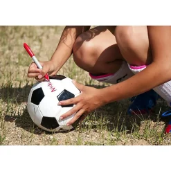 Sharpie eXtreme Permanent Markers, Fine Tip, Black, 4/Pack (1927436)