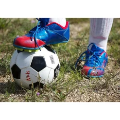 Sharpie Extreme Permanent Markers, Fine Tip, Black, 12/Pack (1927432)